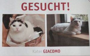 Pfötchen Café im September @ Wally-Bangert-Tierheim