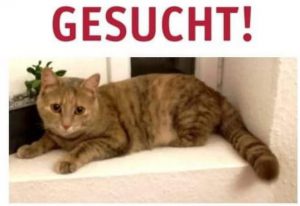 Sommerfest @ Pfingstgrundstraße