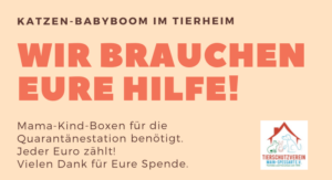 Pfötchen Café im Mai @ Wally-Bangert-Tierheim