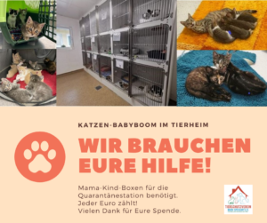 Pfötchen Café im Mai @ Wally-Bangert-Tierheim