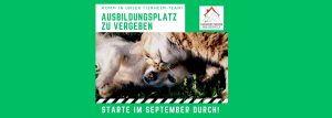 Pfötchen Café im Mai @ Wally-Bangert-Tierheim