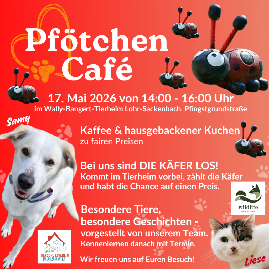 Pfötchen Café im Mai @ Wally-Bangert-Tierheim