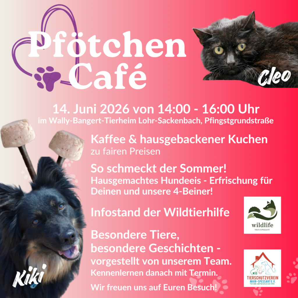 Pfötchen Café im Juni @ Wally-Bangert-Tierheim