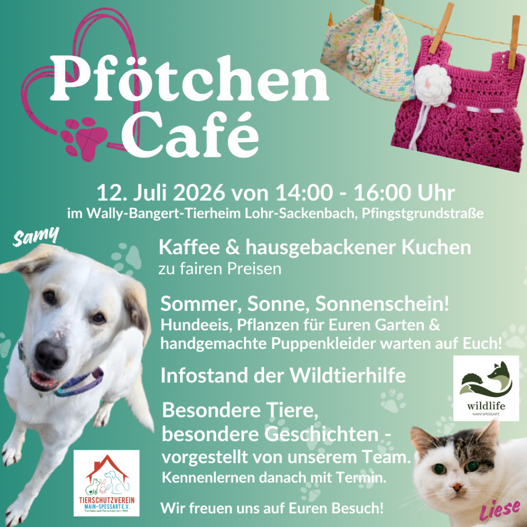 Pfötchen Café im Juli @ Wally-Bangert-Tierheim