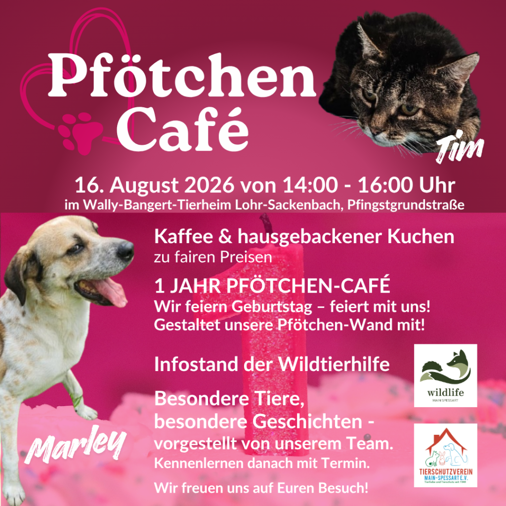 Pfötchen Café im August @ Wally-Bangert-Tierheim