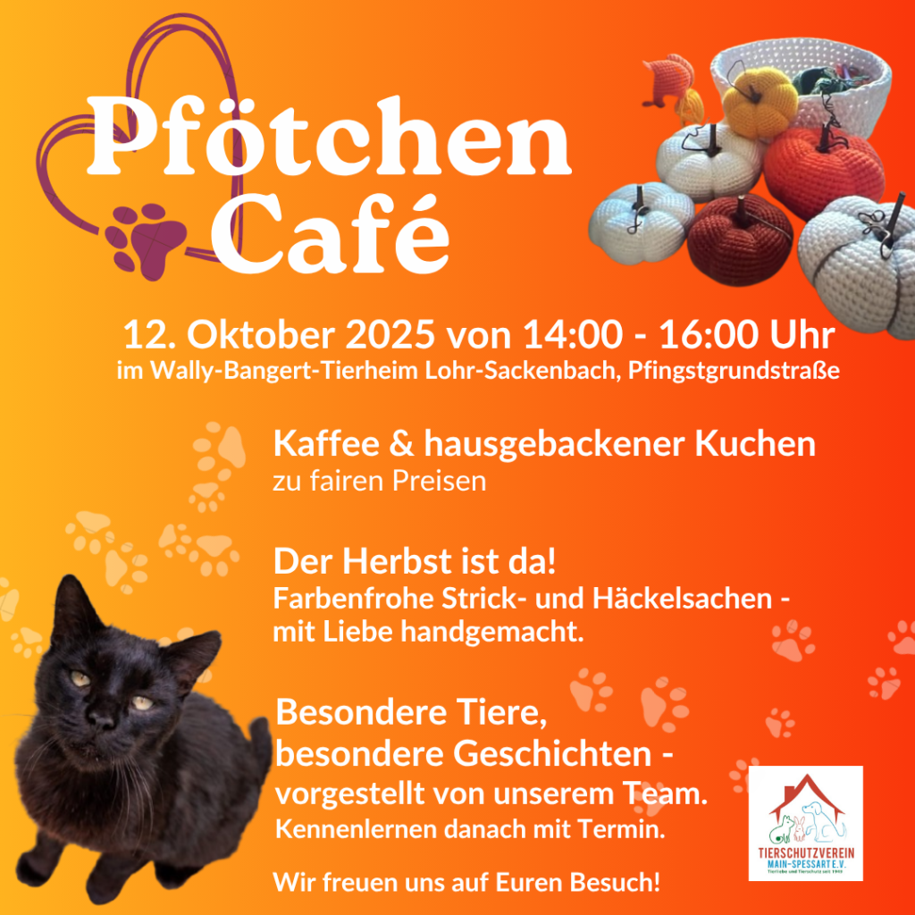 Pfötchen Café im Oktober @ Wally-Bangert-Tierheim