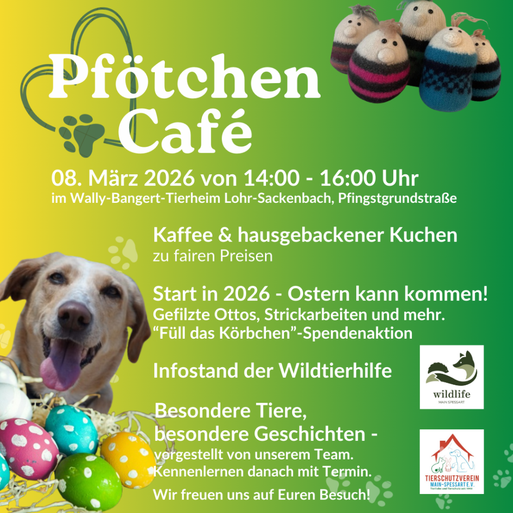 Pfötchen Café im März @ Wally-Bangert-Tierheim