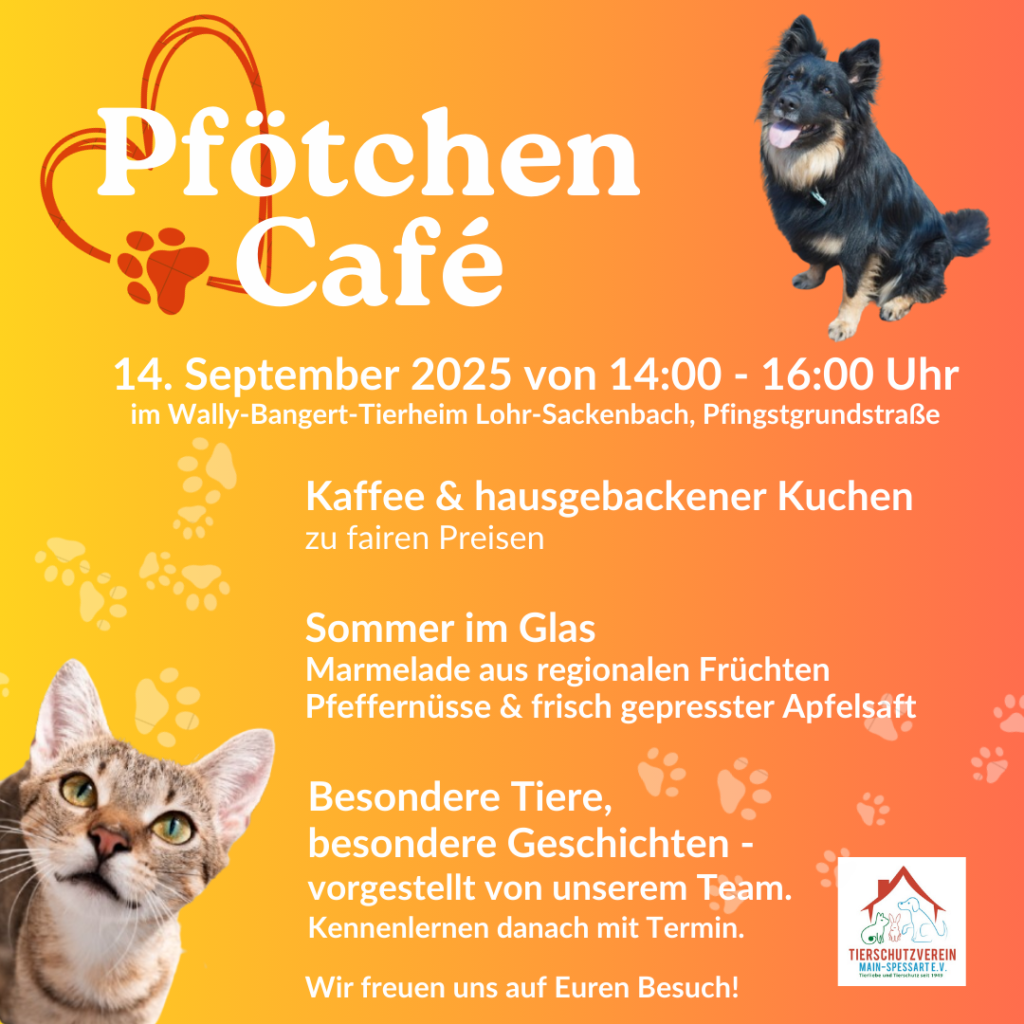 Pfötchen Café im September @ Wally-Bangert-Tierheim