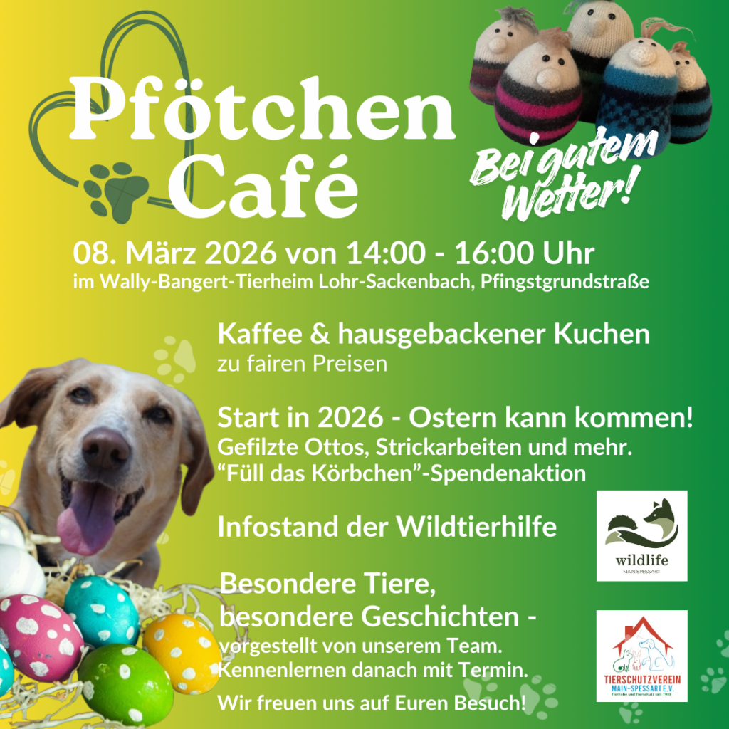 Pfötchen Café im März @ Wally-Bangert-Tierheim