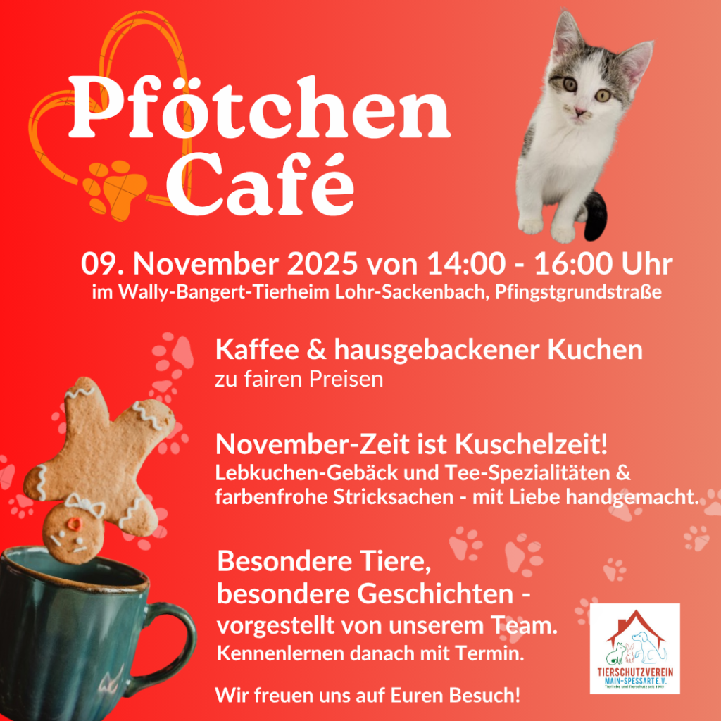 Pfötchen Café im November @ Wally-Bangert-Tierheim
