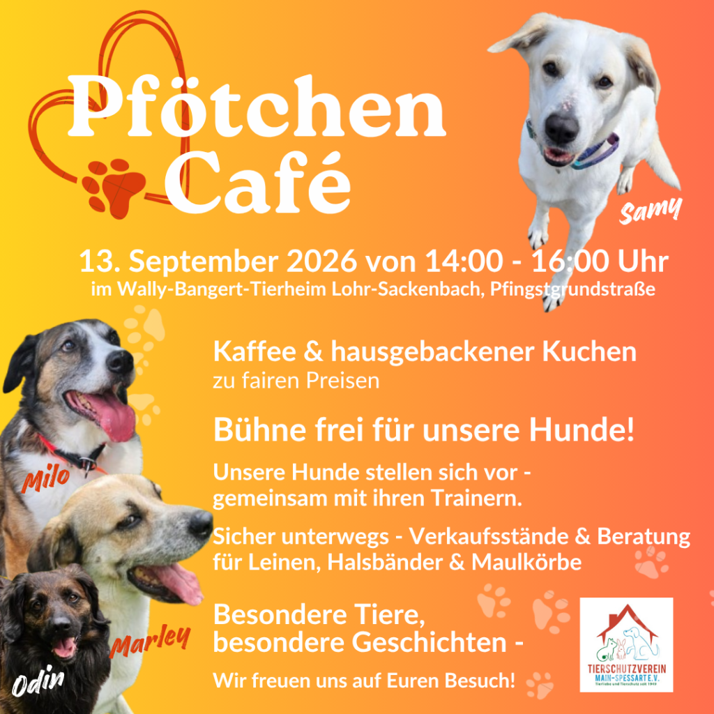 Pfötchen Café im September @ Wally-Bangert-Tierheim
